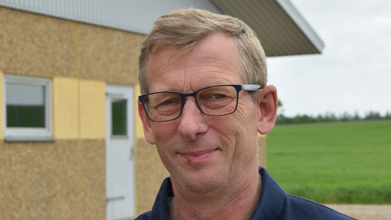 Rubenlund Agro, som Ulrik Bremholm ejer, producerer cirka 85.000 slagtesvin årligt. Arkivfoto