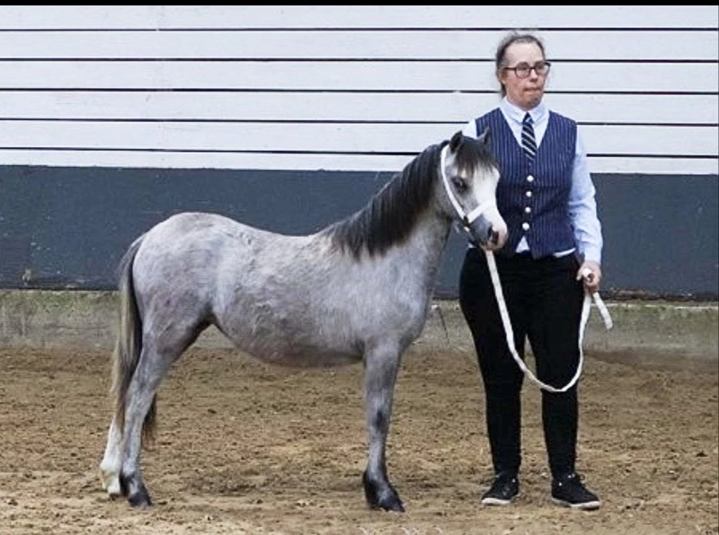 Dorthe Voss er klar til at udstille på dette års fællesdyrskue i Aabenraa. Fotos: Janne Zedig