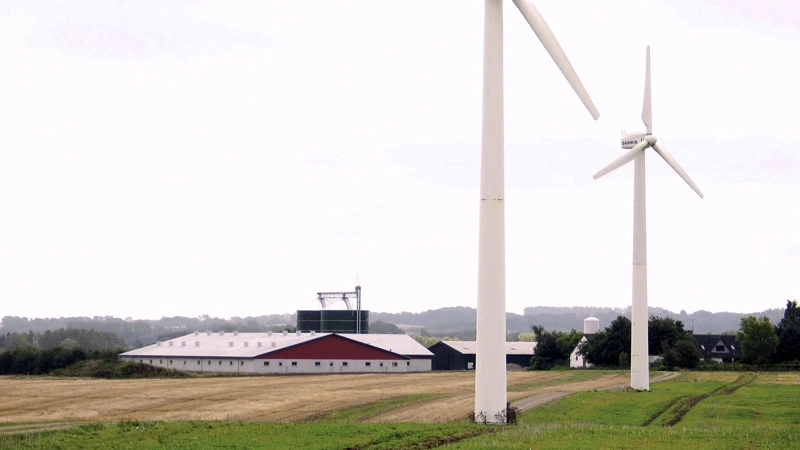 Landbrugsloven forhindrer opdeling af landbrug under flere CVR-numre, idet der skal være et stuehus til en landbrugsejendom. Men har man vindmøller, kan de eventuelt få sit eget CVR-nummer. Arkivfoto: Anne Wolfenberg