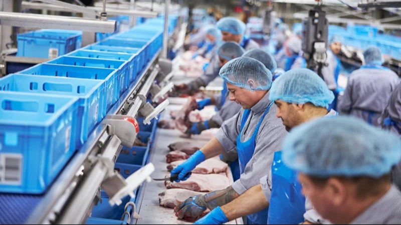 DanePork går ind i Virksomhedsberedskabet og vil sikre fødevareforsyningen ved kriser i Danmark. Foto: DanePork