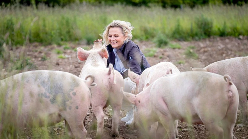 Hun har mange holdninger, Britta Riis. Ikke mindst omkring griseproduktionen i Danmark. Nu bliver formanden for Dyrenes Beskyttelse medlem af bestyrelsen i Økologisk Landsforening. Foto: Dyrenes Beskyttelse