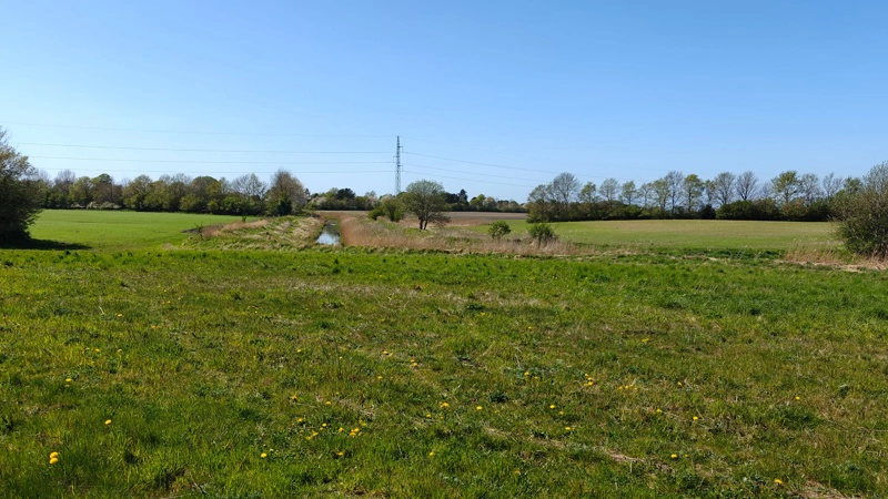 Det er området her ved Næs Å ved Vordingborg, der efter årets høst går fra at være landbrugs- til naturareal. Foto: EDC Landbrug Poul Erik Bech
