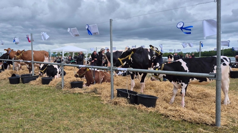 I år kan du opleve Landbrugsmessen Gl. Estrup fredag og lørdag den 22. og 23. maj. Arkivfotos: Tenna Bang