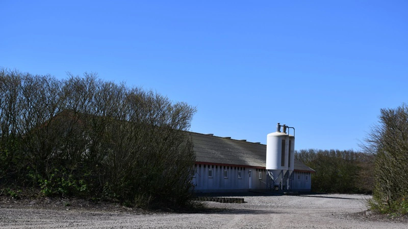Klimastaldene i Fårhus omfatter seks helt identiske opførte stalde i stedet for én stor stald. De er placeret med tre i hver række – gavl mod gavl – men med god afstand og en jordvold med beplantning, der adskiller hver enkelt bygning. Fotos: Camilla Bønløkke