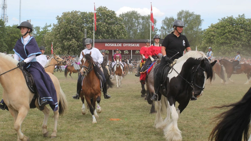 Det Store Hesteshow på Roskilde Dyrskue tæller utallige heste og ryttere, der sammen skaber et underholdende show. Arkivfoto: Jesper Hallgren