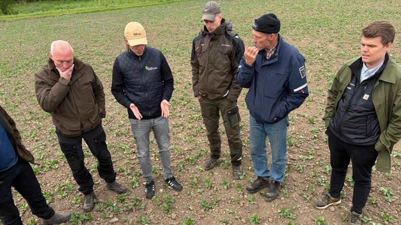 Interessen og spørgelysten var stor, da landmænd og rådgivere var samlet på Vestfyn til markbesøg i projektet »Landmandsdrevet Innovation«. Fotos: Henriette Lemvig