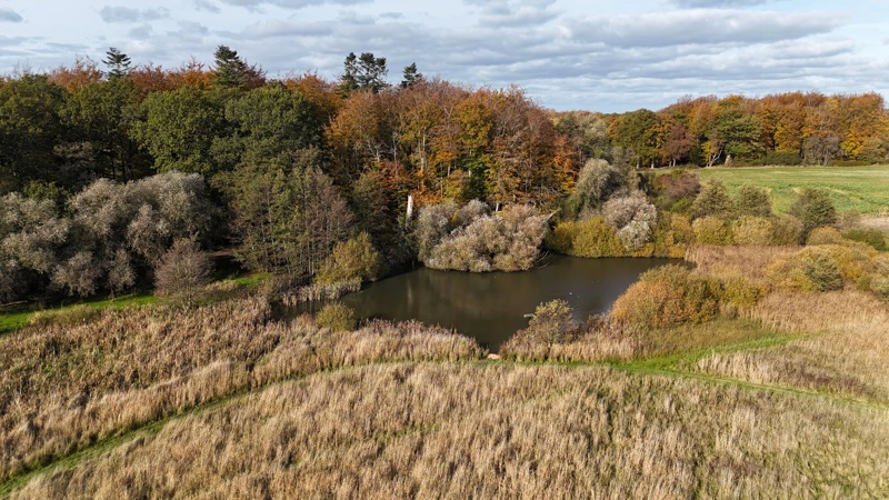 Mange kontrolbesøg kan hæmme lysten til investering i biodiversitet, advarer lodsejere og Dansk Skovforening ifølge medie. Arkivfoto: Per Jørgensen