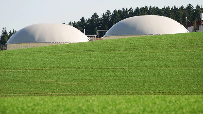 Der er flere biogasprojekter på vej, også i Ringkøbing-Skjern Kommune. Arkivfoto: Colourbox