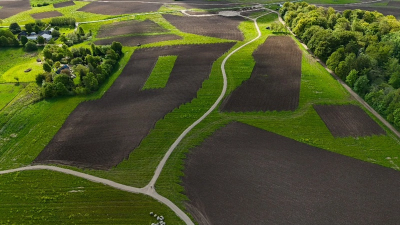 Højballe Skov forventes at kunne lagre gennemsnitligt cirka 6,2 ton CO pr. hektar årligt over en 100-årig periode og være med til at beskytte drikkevandet lokalt. Foto: Naturstyrelsen