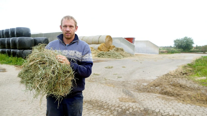 For Michael Andersen, der har mælkeproduktion på Tøvestensgården uden for Slagelse, giver det bedre mening at overlade ansøgninger til f.eks. miljøgodkendelser til Agrovi. Arkivfoto