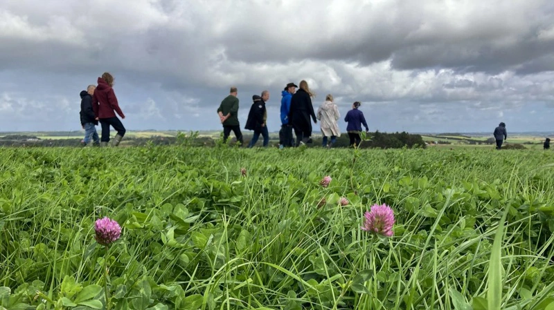 Brak, busk, krat eller insektvold? Der er mange muligheder for at øge biodiversiteten i landbrugslandet. Foto: Linda Michelle Handrup