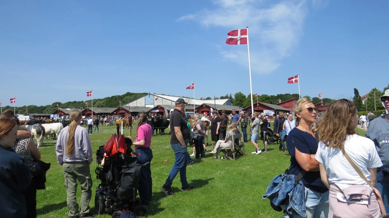 På lørdag og søndag vil der være mange dyr, maskiner og aktiviteter på den legendariske dyrskueplads i Horsens. Der er gratis entré og ligesom i sidste års solskinsvejr (billedet) ventes stor publikumstilstrømning. Foto: Horsens Dyrskue