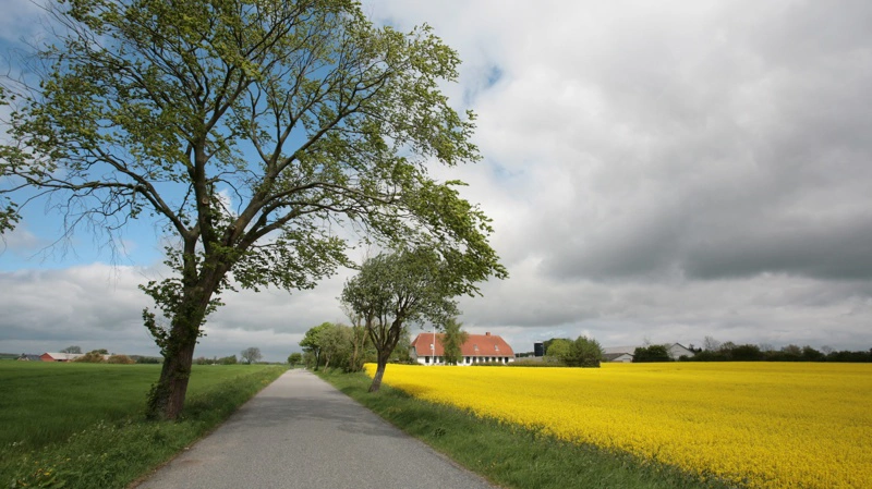 Familielandbruget advarer om, at udviklingen mod større bedrifter kan få konsekvenser for livet i landdistrikterne. Foto: Colourbox