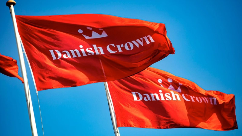 Danish Crown vil skabe en enklere organisation med »færre ledelseslag, bredere og mere fokuserede ledelsesroller samt flere direkte referencer under den enkelte leder.« Arkivfoto