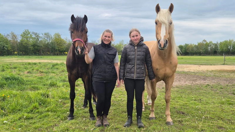 Eva Eriksen (tv.) stiller med to heste. Egelys Sir Lakspur - en new forest-vallak på to år - og palominohingsten Gold Rush. Til at hjælpe sig med hestene har hun Emilie Katholm. Fotos: Tenna Bang