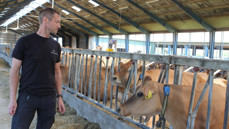 Kent Davidsen, Davidsen Landbrug, Grindsted, kan snart risikere at skulle kassere omkring 40.000 liter mælk dagligt, hvis en varslet sympatikonflikt pr. 15. juni træder i kraft. Derfor vil han forsøge, om han kan finde et kompromis, så han undgår at miste 95 procent af sin omsætning, hvis han ikke kan få hentet sin mælk. Arkivfoto: Anne Wolfenberg
