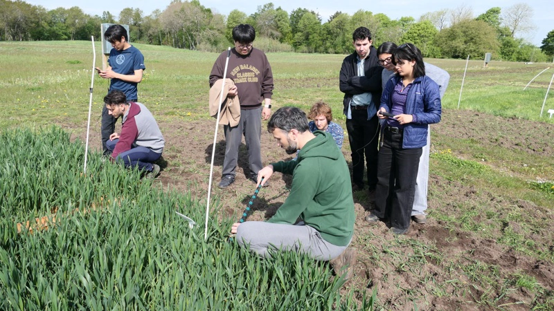 Postdoc Marco Lombardi viser her de studerende, hvordan kameraet tager billeder for hver fem centimeter ned i det gennemsigtige plastrør under forsøgsplottet. Billederne skal senere analyseres i laboratoriet. Foto: Bøje Østerlund