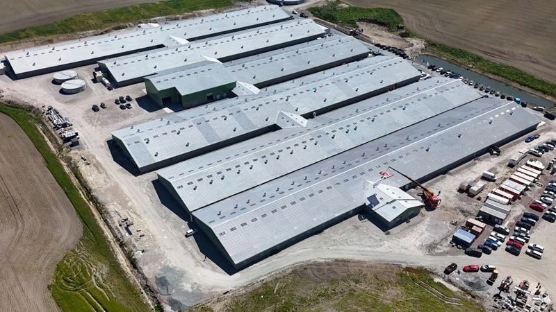 På 33.000 m² er der opført et komplet full-line anlæg til so- og slagtegriseproduktion med fuld automatisering, halmanlæg, gyllekøling, luftrensning og foderfabrikation.