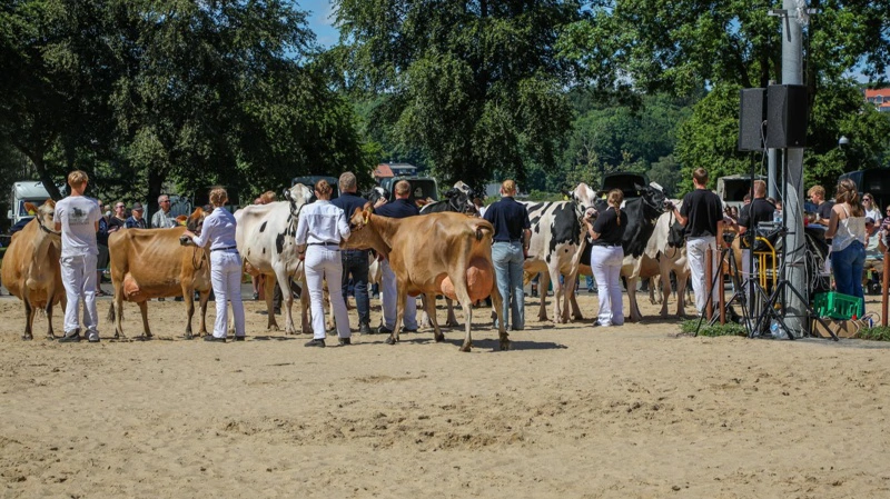 Vejret var med udstillere og besøgende ved dyrskuet i Hobro. Fotos: Hobro Dyrskue