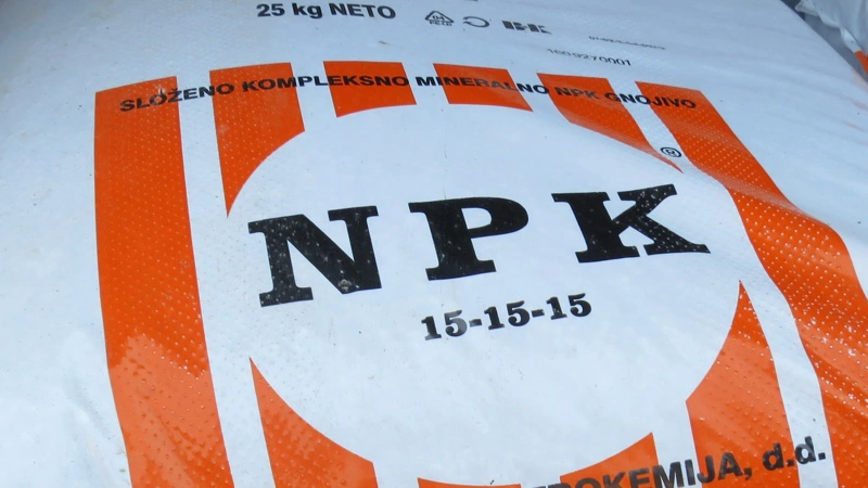 Arkivfoto