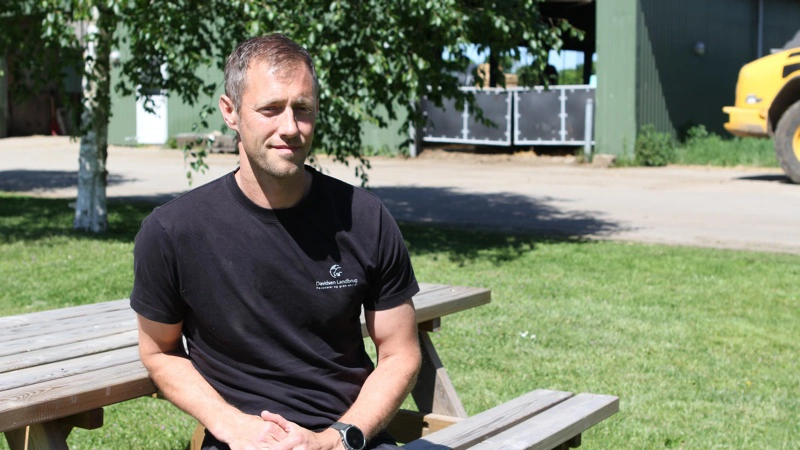 Hvis ikke Fagbevægelsens Hovedorganisation (FH) vælger at suspendere sin varslede sympatikonflikt mod Kent Davidsen, risikerer mælkeproducenten fra på mandag den 15. juni at skulle destruere omkring 40.000 kg mælk dagligt. Arkivfoto: Anne Wolfenberg