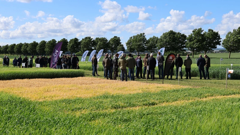 Knap 900 mennesker deltog i dette års Agri Farm Day. Fotos: Agillix