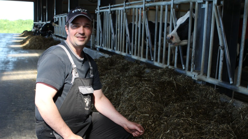 - Det værste af det hele var bevidstheden om, at det var noget, jeg havde forårsaget - at det var noget, jeg havde puttet i deres foder, der gjorde mine dyr syge, siger mælkeproducent Jørgen Schmidt om brugen af Bovaer sidste efterår, der forårsagede syge køer, og køer, der »eksploderede« og døde. Fotos: Anne Wolfenberg