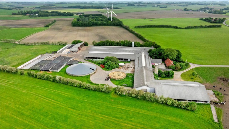 Engkjærgaard har blandt andet en samlet mælkeproduktion med cirka 345 SDM-køer, seks DeLaval-malkerobotter fra 2021 og et samlet matrikulært areal på cirka 276,5 hektar. Foto: EDC Videbæk Landbrug og Lystejendomme