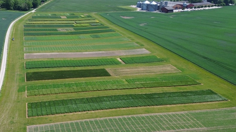 Oversigtsbillede af innovationsmarken.