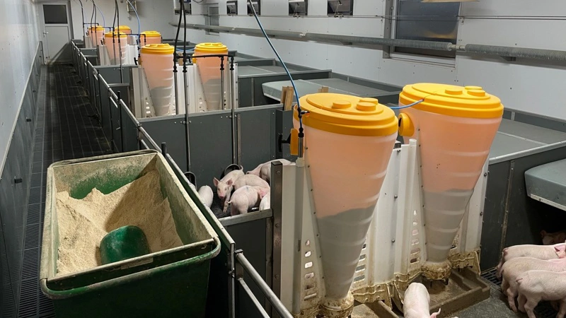 Danbox Agro har på ét år fordoblet omsætningen og leveret et overskud på 1,8 millioner kroner med fokus på fleksible stalde. Arkivfoto