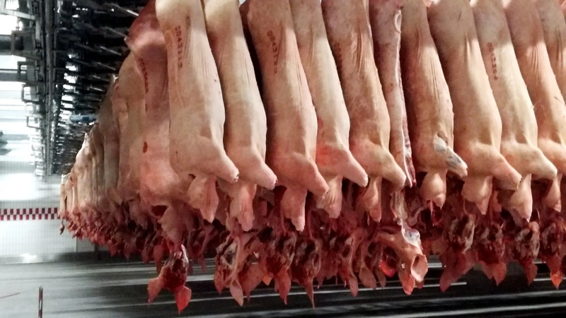 Vion sælger sin tyske foodservice-forretning og tager dermed det sidste store skridt ud af Tyskland. Arkivfoto