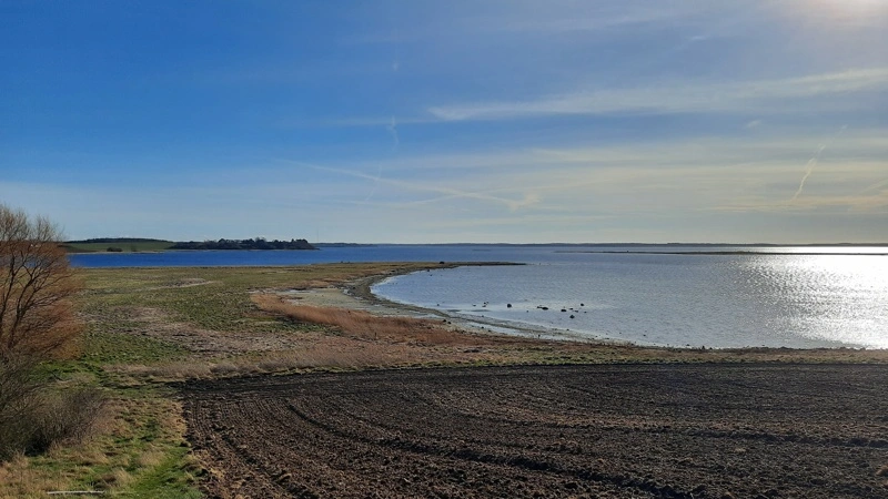Roskilde Fjord er både levested for flere sårbare fuglearter og omdrejningspunkt for en større naturindsats. Årets fugletælling viser fremgang for blandt andet terner og klyder, mens fjordens økosystem fortsat er sårbart efter en hård vinter. Arkivfoto: VKST