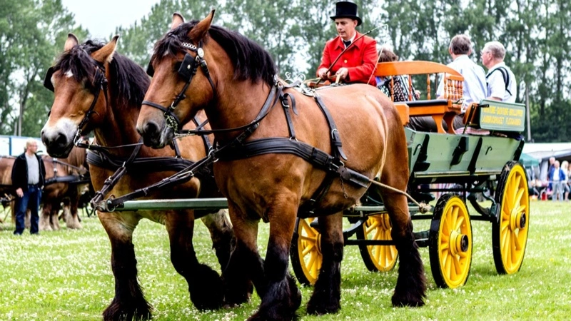 Gørlev Hesteskue og Kræmmermarked finder sted den 3.-5. juli. Arkivfoto