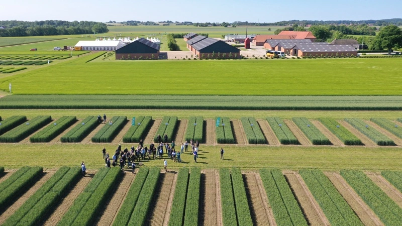Hos Sejet Planteforædling ved Horsens forventer man, at den nye genteknolog vil blive et vigtigt redskab i udviklingen af kommende hvedesorter. Foto: Eksternt