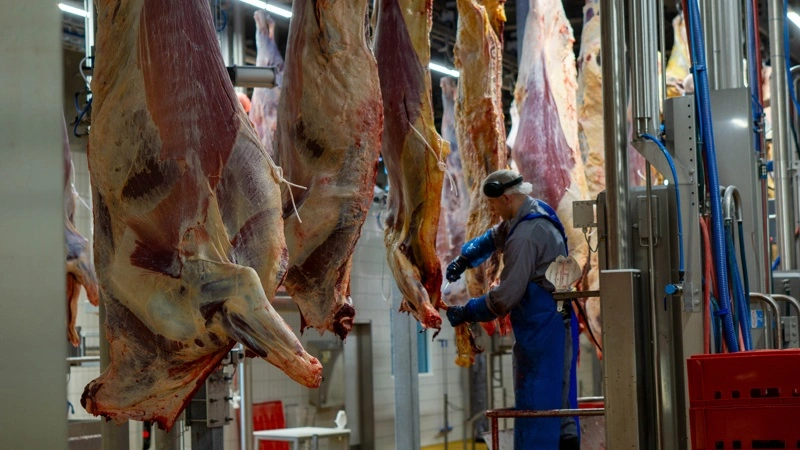 Myndighederne godkender Moert, som skal styrke danskforædlede kødprodukter til detail og catering. Arkivfoto: Søren Nørgaard
