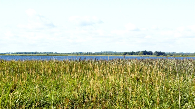 Jesper Balle Kristensen, kommunalbestyrelsesmedlem i Morsø Kommune, og John Vangsgaard, kommunalbestyrelsesmedlem i Struer Kommune, efterlyser mere realistisk politisk ledelse og hurtigere løsninger på de barrierer, som ifølge dem hæmmer arbejdet med den grønne trepart. Arkivfoto