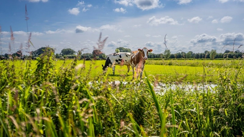 FrieslandCampina samler og udvider smørproduktionen i Lochem med lavere forbrug af el, gas og vand. Foto: FrieslandCampina