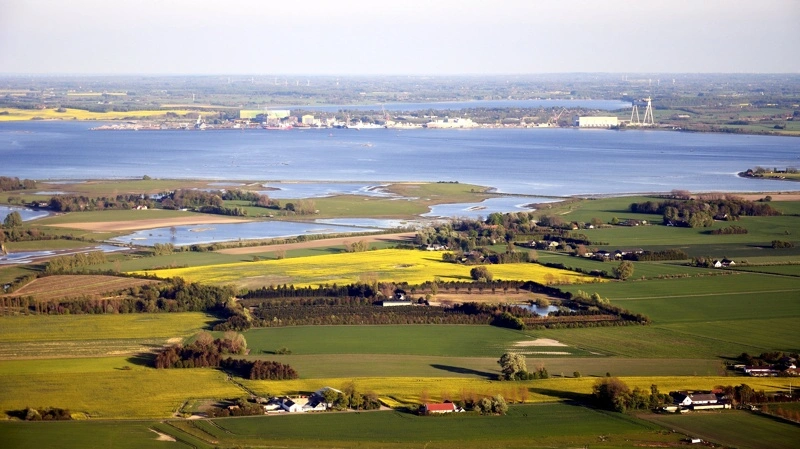 En ny plan for Odense Fjord lægger op til mere målrettet arealomlægning, hvor vådområder, lavbund, skovrejsning og fjordnære hotspots skal reducere tilførslen af næringsstoffer. Arkivfoto