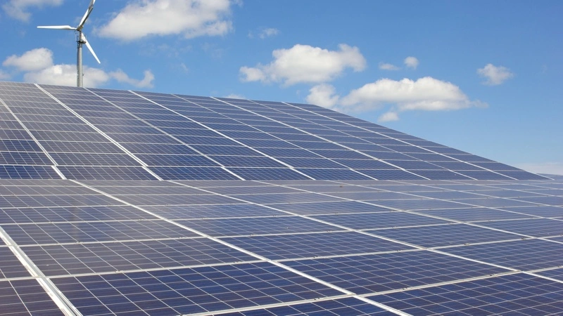 Danmarkskortet er skævt, når det kommer til vedvarende energi, for det er fortsat i yderområderne, der især er blevet etableret solceller og vindmøller. Arkivfoto: Tenna Bang