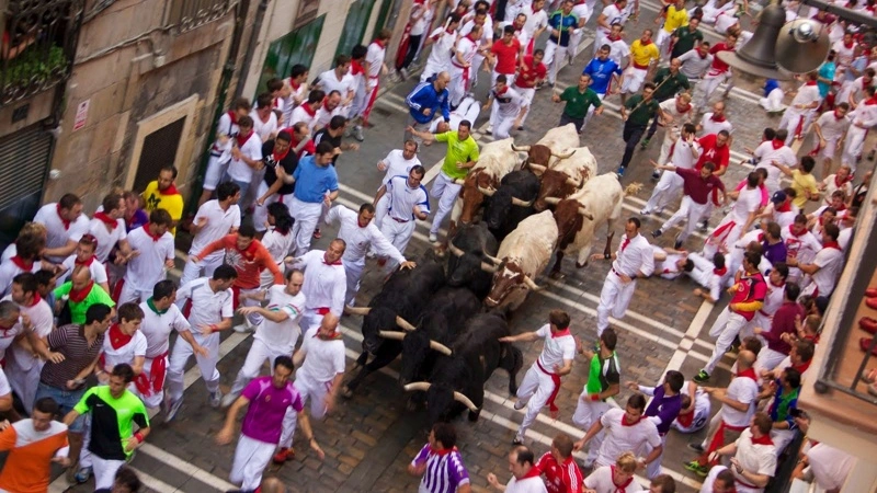 Her løber tyre gennem Pamplonas gader under San Fermín-festivalen. World Animal Protection Danmark kritiserer, at EU’s landbrugsstøtte kan gå til opdrættere af f.eks. kamptyre. Foto: Atkins525 via CC Share-Alike 4.0 International