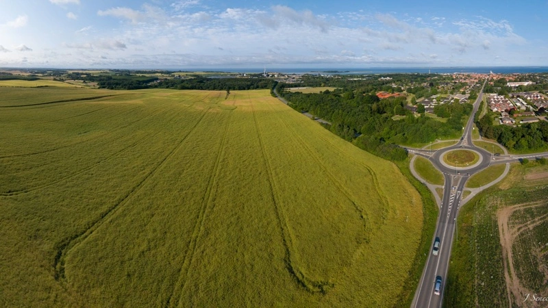 Det er her i udkanten af Assens by, at den nye skov kommer til at ligge. Foto: Jan Seneca/Klimaskovfonden