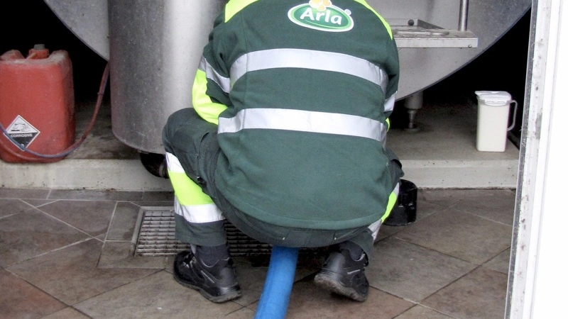 Den danske afregningspris trækker opad, mens de globale noteringer trækker nedad. De to bevægelser kan ikke leve side om side ret længe, vurderer Rasmus Haun Hansen. Arkivfoto