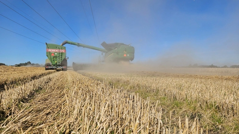 Et meget kraftigt El Niño-event kan ifølge Agrocura øge risikoen for markant lavere udbytter i flere af verdens vigtigste dyrkningsområder i sæson 2027. Arkivfoto