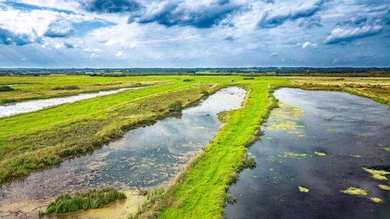 EU's naturgenopretningslov kræver, at medlemslandene senest i 2030 har genoprettet mindst 30 procent af de vådområder, der i dag er i dårlig tilstand. Foto: Getty Images