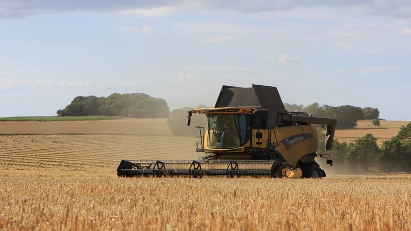 Petersmindes New Holland CX8.85 er i gang med sin ottende sæson. I kabinen sidder Poul Erik Andersen, som har kørt mejetærsker i 59 sæsoner. Fotos: Kasper Stougård