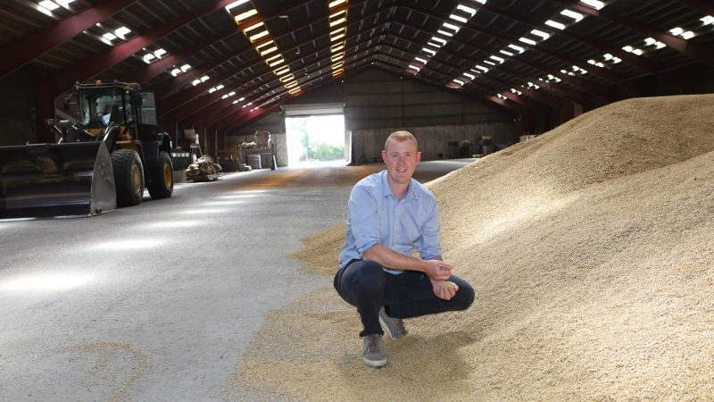 De første kornmængder er allerede indleveret på Danish Agro-afdelingen i Østervrå, og markedschef for planter i Nordjylland, Martin Bay Mortensen, forventer, at afdelingen vil modtage 25.000-30.000 ton i de kommende uger. Fotos: Erik Hansen
