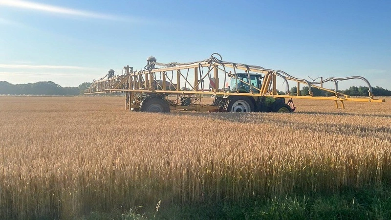 Udsåning af efterafgrøder i kornmarken. Forsøget skal blandt andet vise, om tidligere etablering kan øge biomasseudbyttet og forbedre økonomien i efterafgrøder til biogas. Foto: BJ-Agro