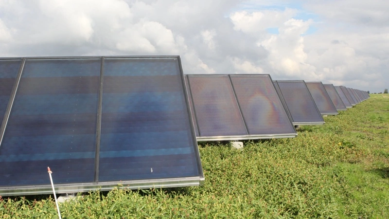 GreenGo Energy har udviklet flere solcelleparker i Danmark. Arkivfoto: Anne Wolfenberg