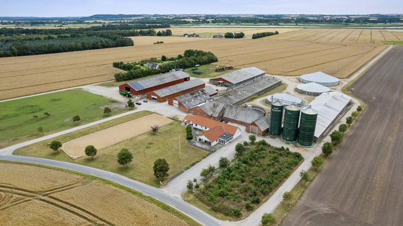Bode Vestergård ved Ørsted i Norddjurs Kommune er sat til salg for 78 millioner kroner. Bedriften omfatter knap 280 hektar jord og en produktion med omkring 750 søer samt salg af 30 kg-grise. Fotos fra salgsopstillingen: Nybolig Landbrug Gustav Winther