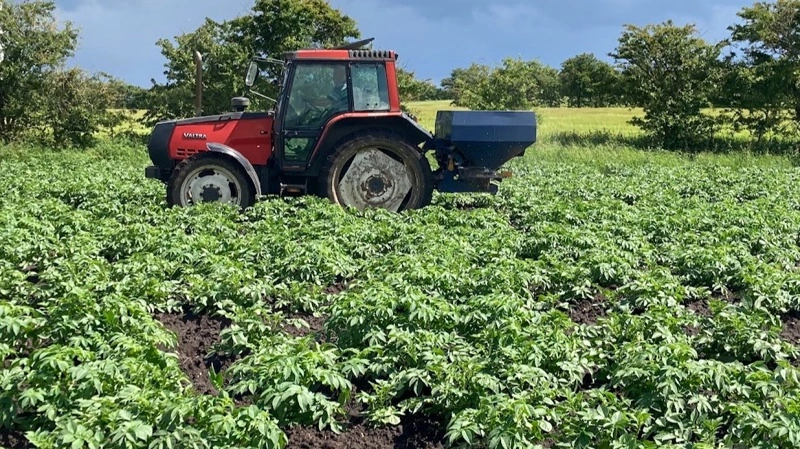 Kartoffelavler Rasmus Trads ved Vridsted dyrker godt 40 hektar med stivelseskartofler, hvede og vårbyg og har leveringsret til 13 hektar kartofler. Foto: Fjordland